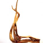 715 Salvaged Tasmanian Blackwood Twisted Sculpture