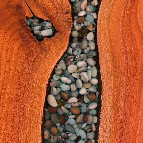 S618 Coastal Banksia - Image 2