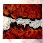 S857B River Red Gum Burl Side Table