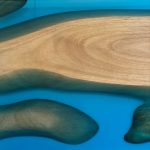 S634B "Sandbar" - Image 3